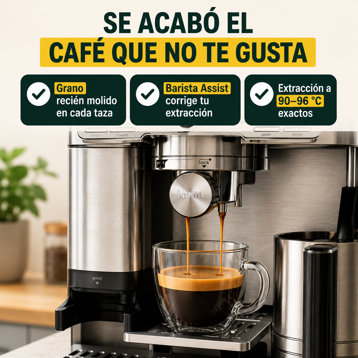 Llevas años tomando café que no te gusta